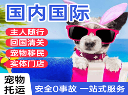 吴川空运国际宠物托运 【国